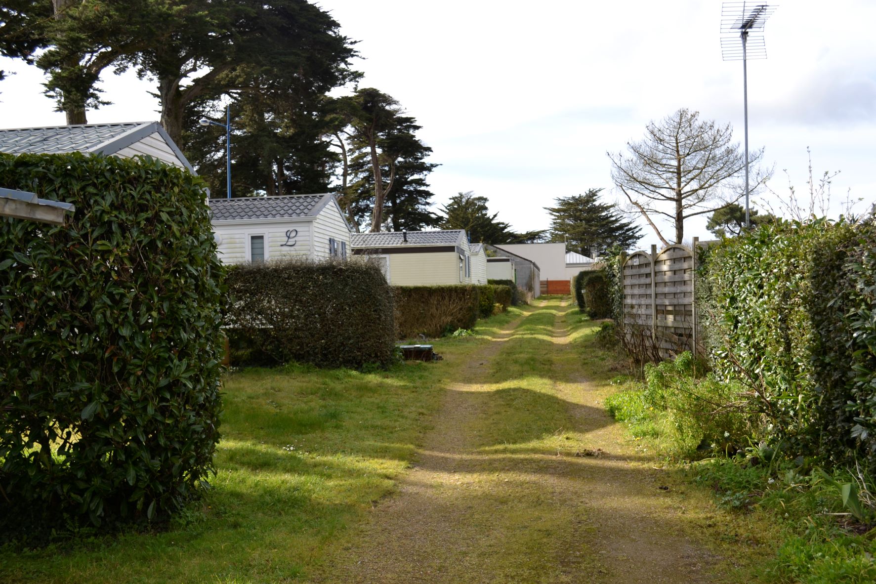 Camping Le Bois d'Amour photo 4