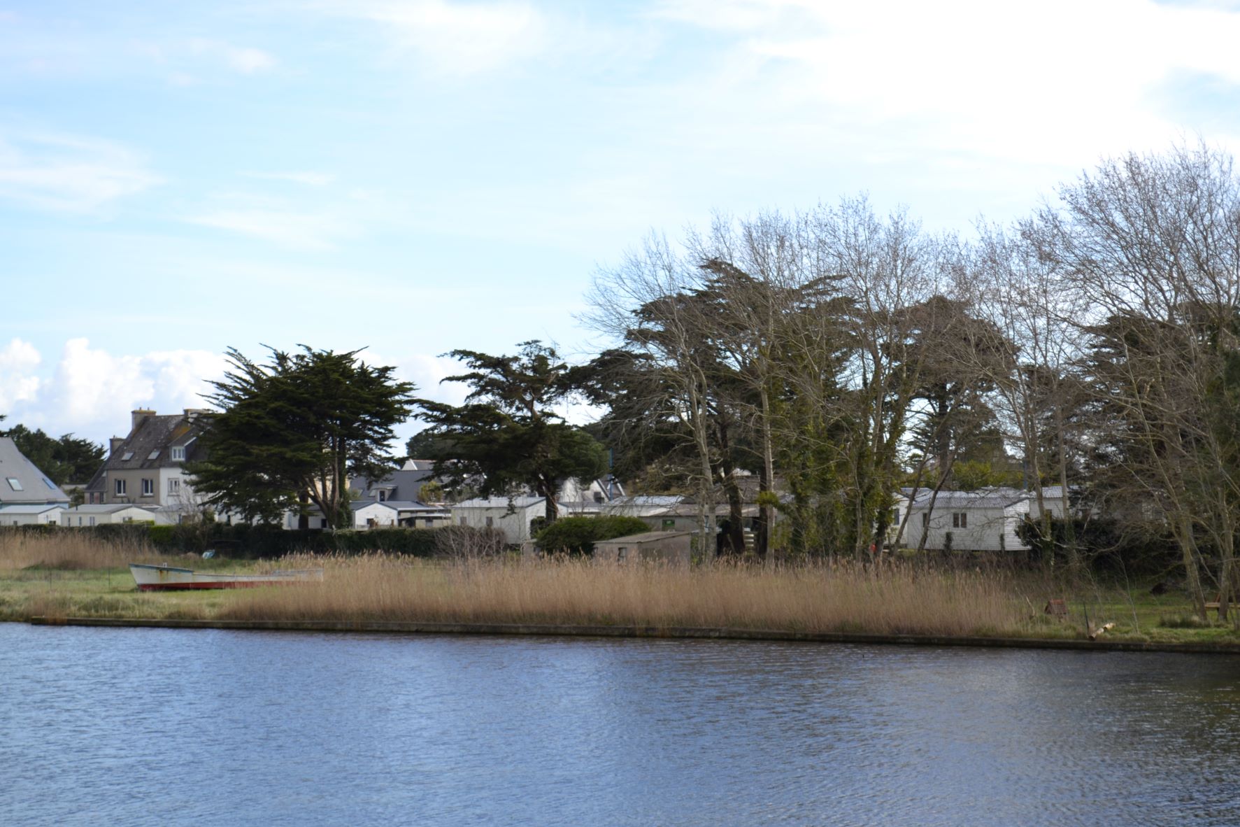 Camping Le Bois d'Amour photo 5