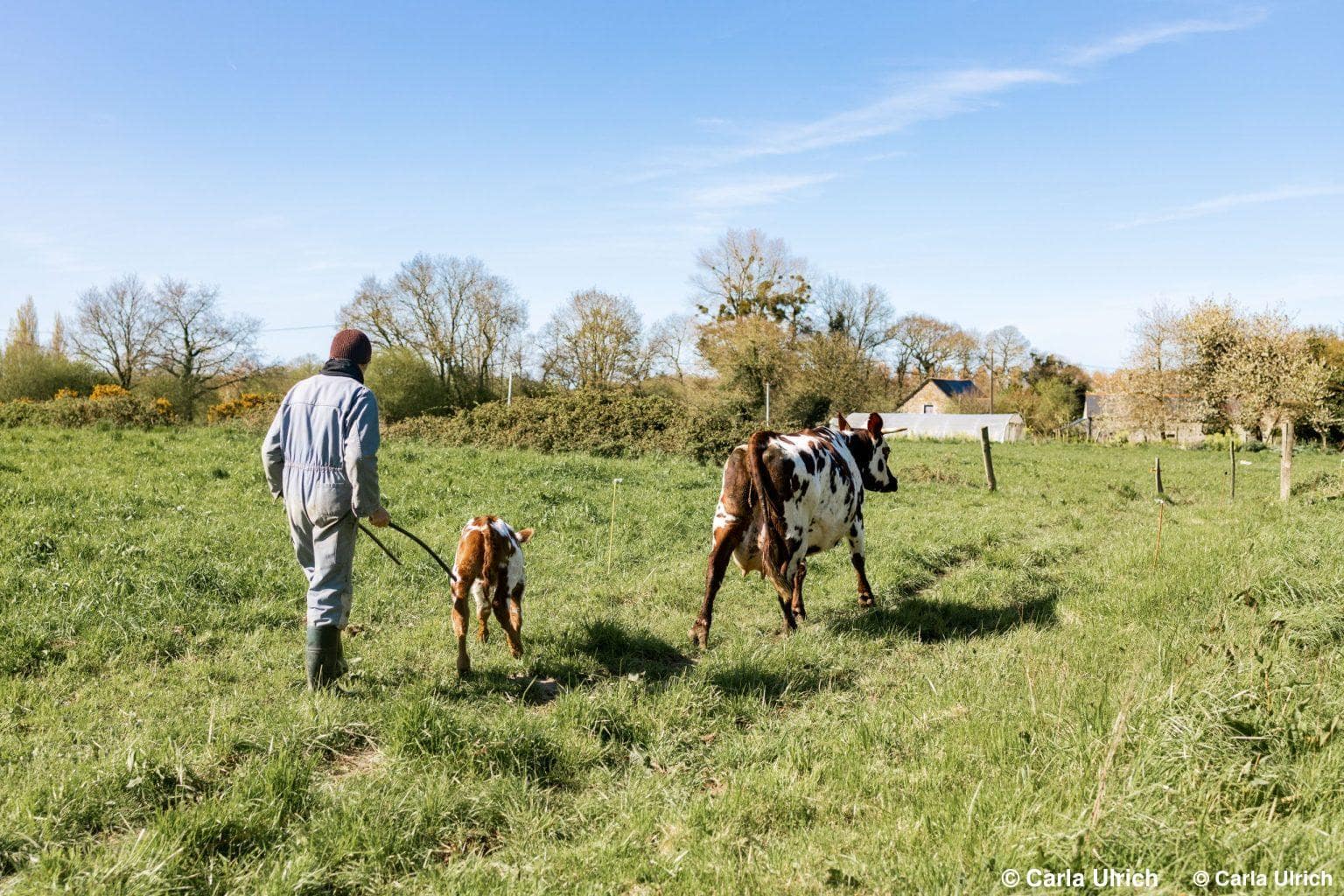 La Grande Goublaye - Camping à la ferme photo 5