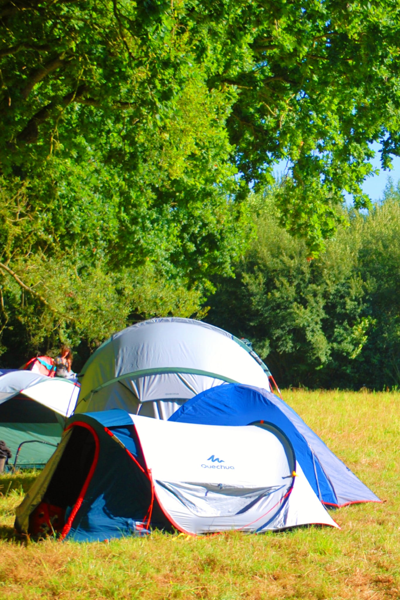 La Grande Goublaye - Camping à la ferme photo 3