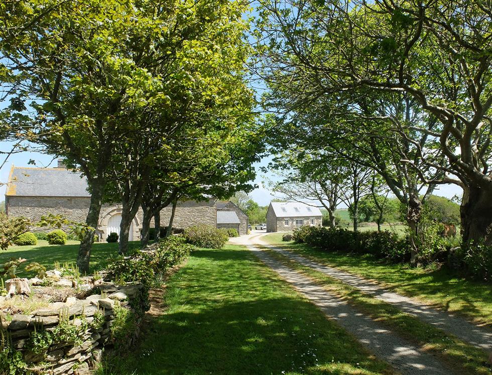Allée d'entrée du domaine