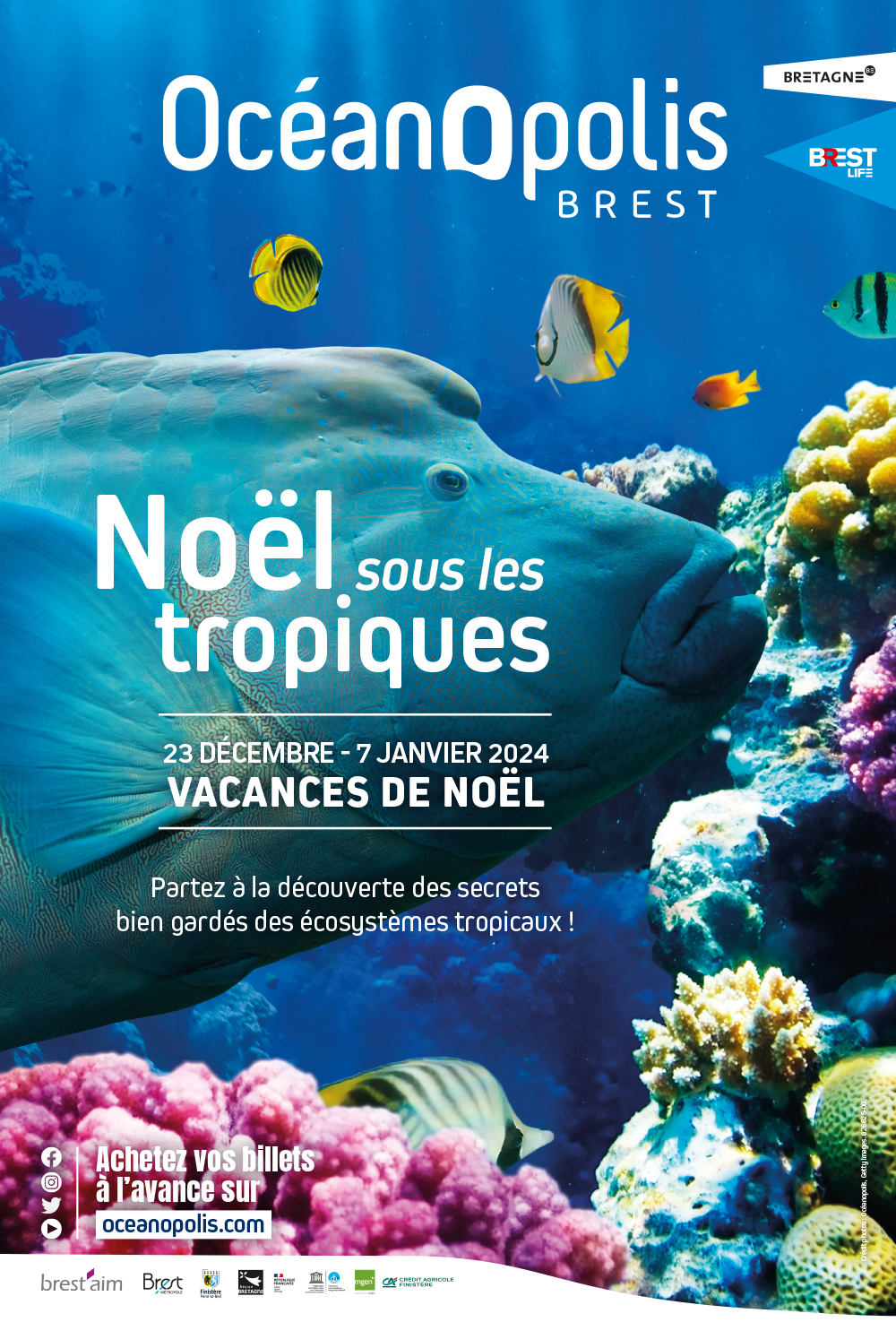 026625-00_aLM_350x520_visuel_temporaire_NOEL_web