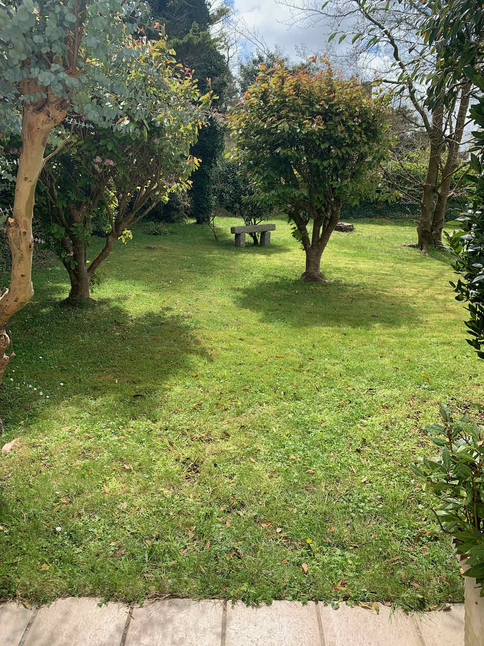 05-Terrasse studio 2