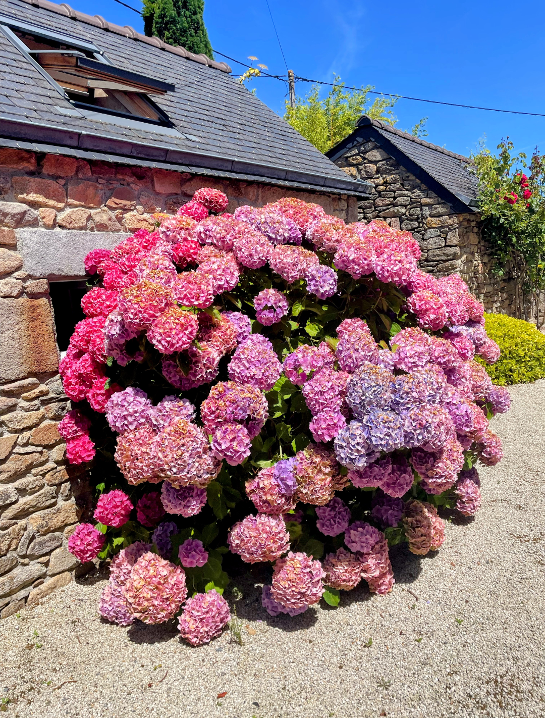 ET BAM ! Stratégies Locatives