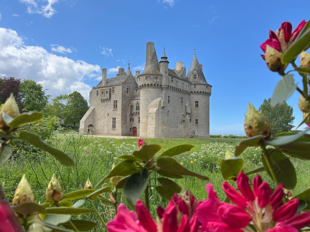 13. Château - vue rhodo rouge sud est_1