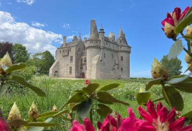 @kerouzere 13. Château - vue rhodo rouge sud est_1