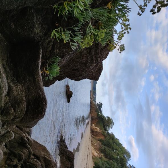 Plage de Sainte Anne