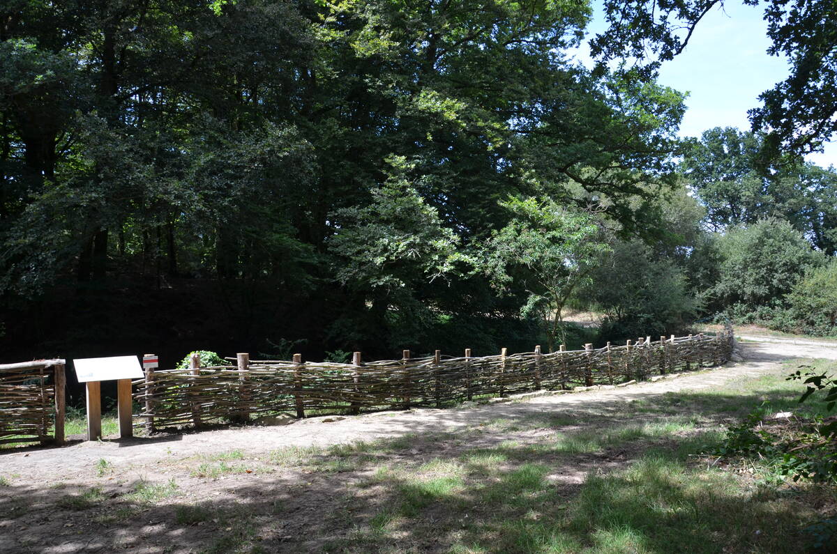 1674033985-285960323 1674033985-285960323