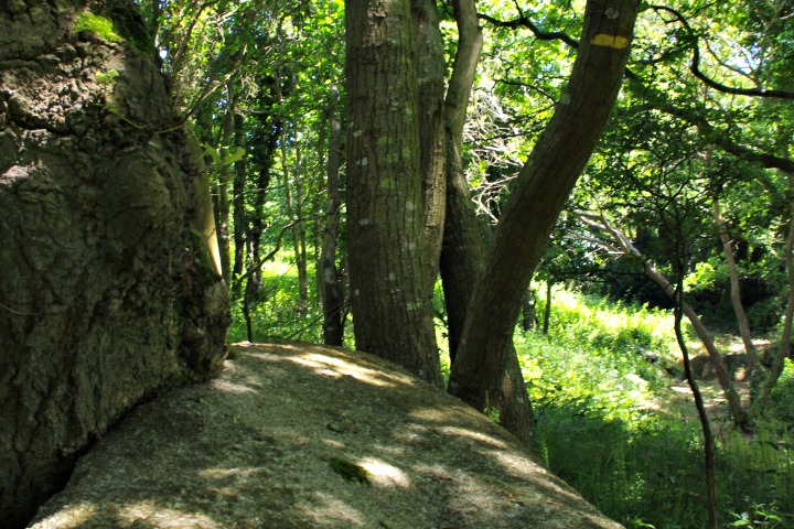 Patrimoine naturel test VIT