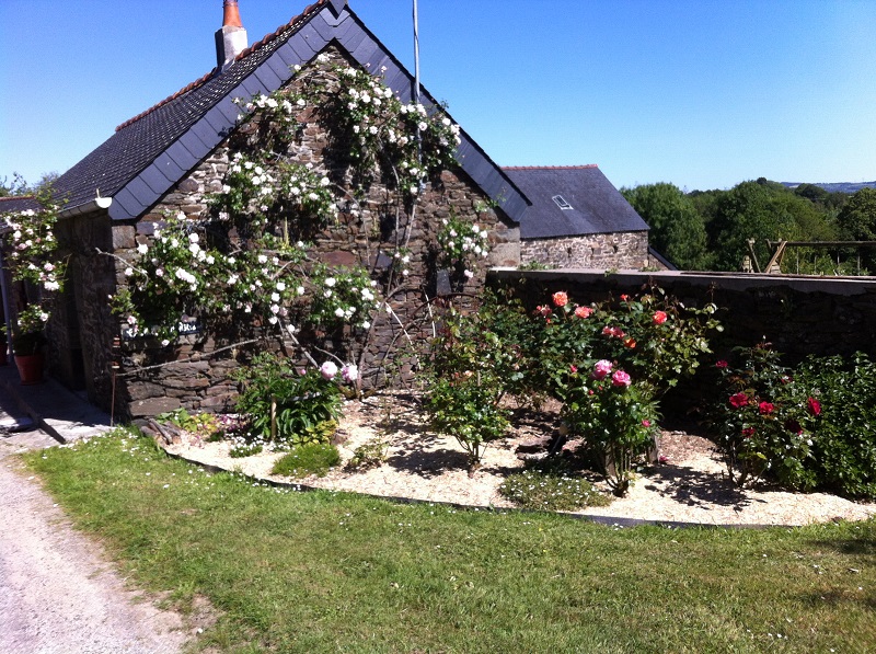 20 05 20 Petite Maison 01-redi