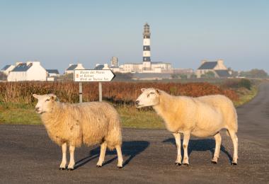 GLAZ Pictures 2018_1022_Bretagne_Finistere_Ouessant_PhareDuCreach_MRV08781_MRi