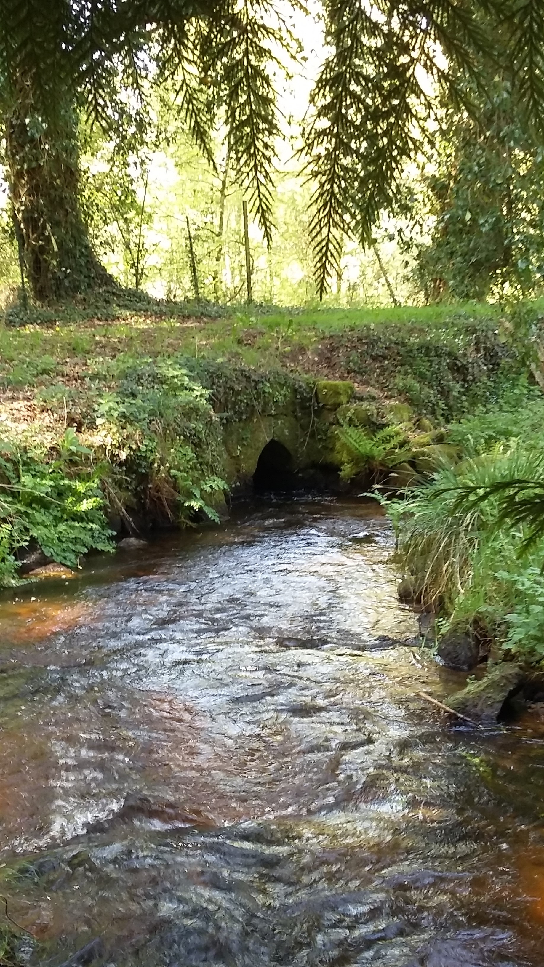 20180424_154247 20180424_154247