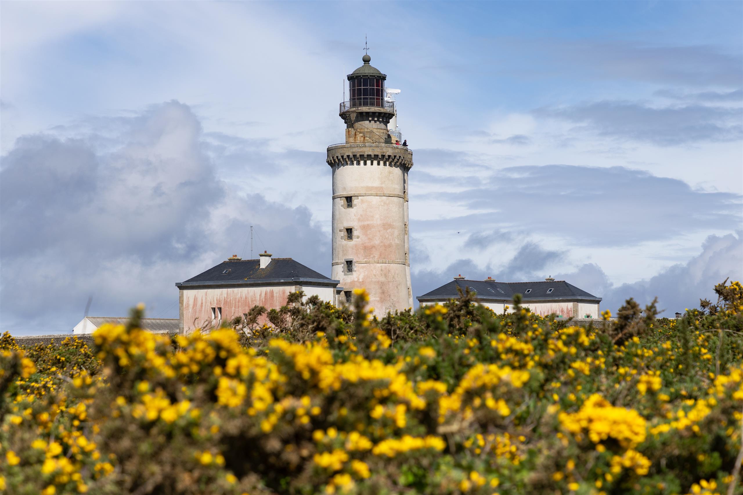2023_0504_Bretagne_Finistere_Ouessant_Stiff_Earth_0O1A2320_RLe