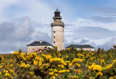 GLAZ Pictures 2023_0504_Bretagne_Finistere_Ouessant_Stiff_Earth_0O1A2320_RLe