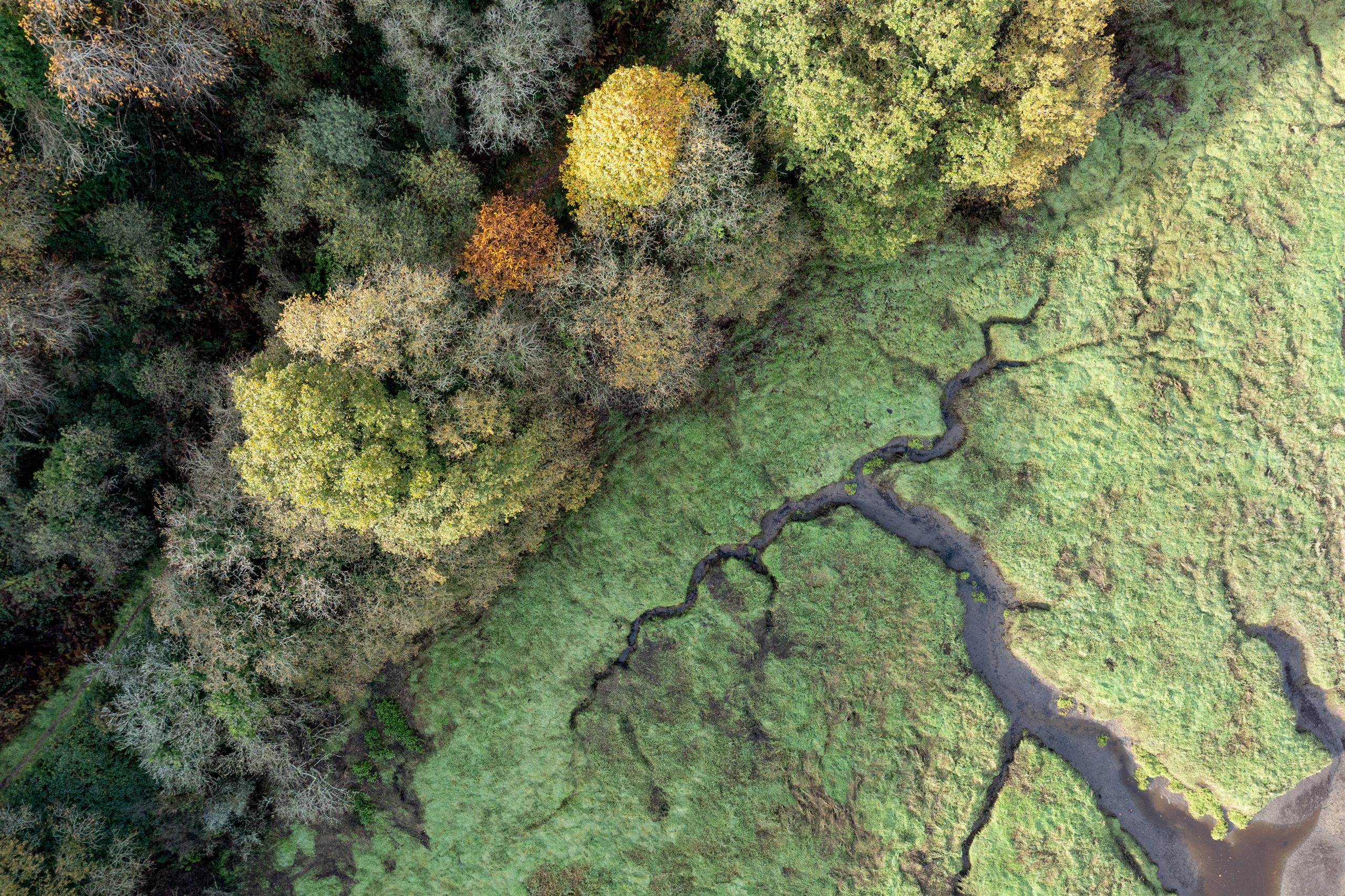 2024_1122_Bretagne_Finistere_Tariec_Aerial_DJI_0067_MRi