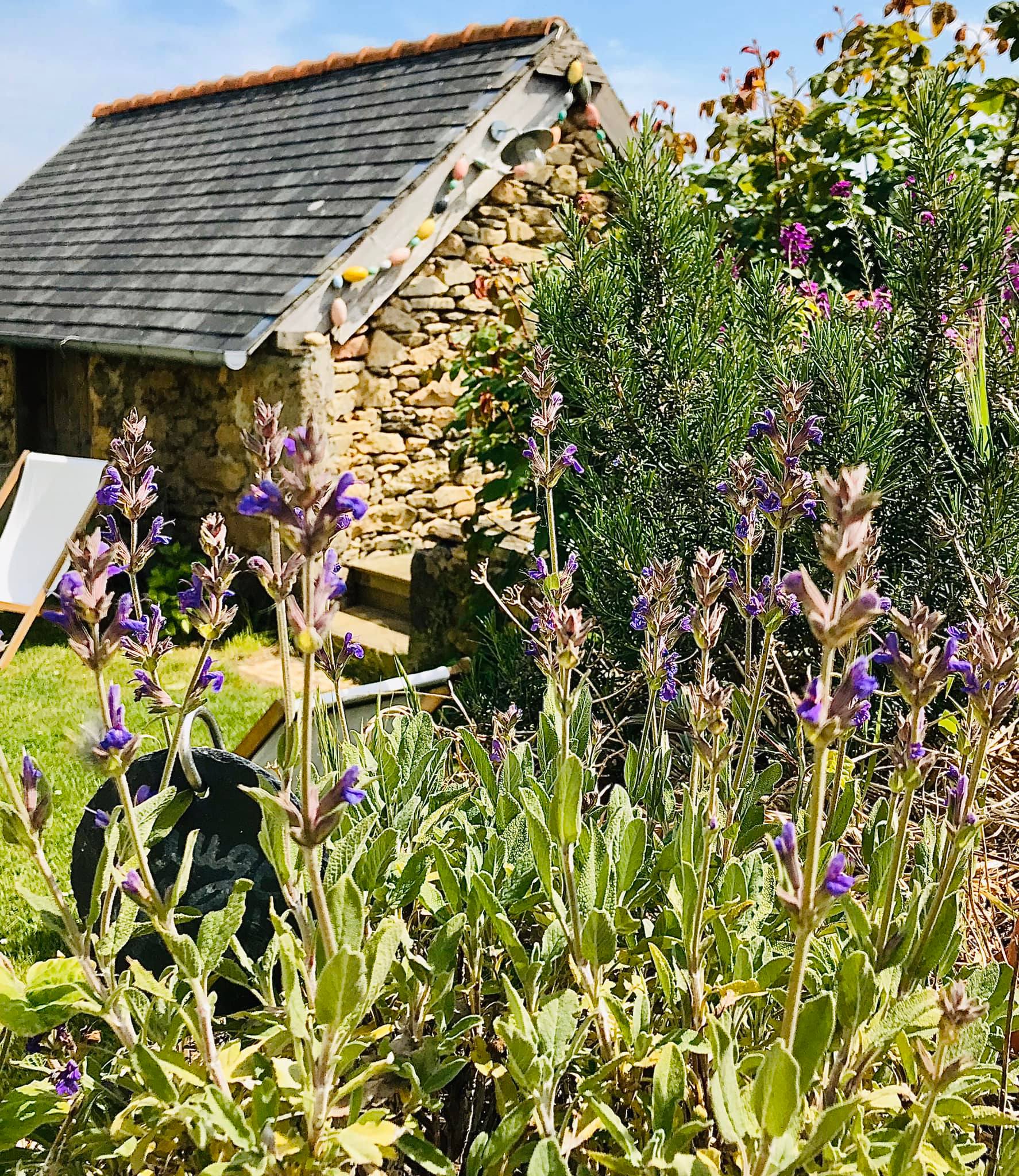 courette sud