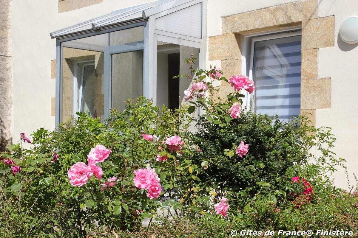 29990-29 maison façade avec fleurs