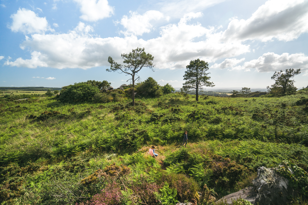 319 OT Pays de Landerneau - Thibault Poriel - 2022 - BD