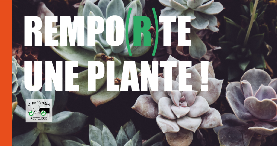 Remporte une plante