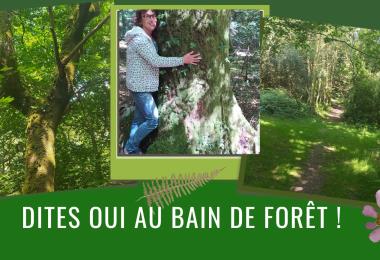 Bain de forêt