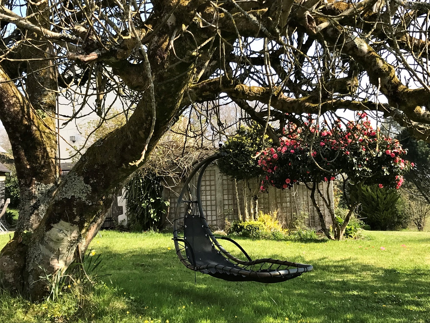 jardin