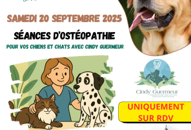 Vitavore séance osthéopathie Vitavore
