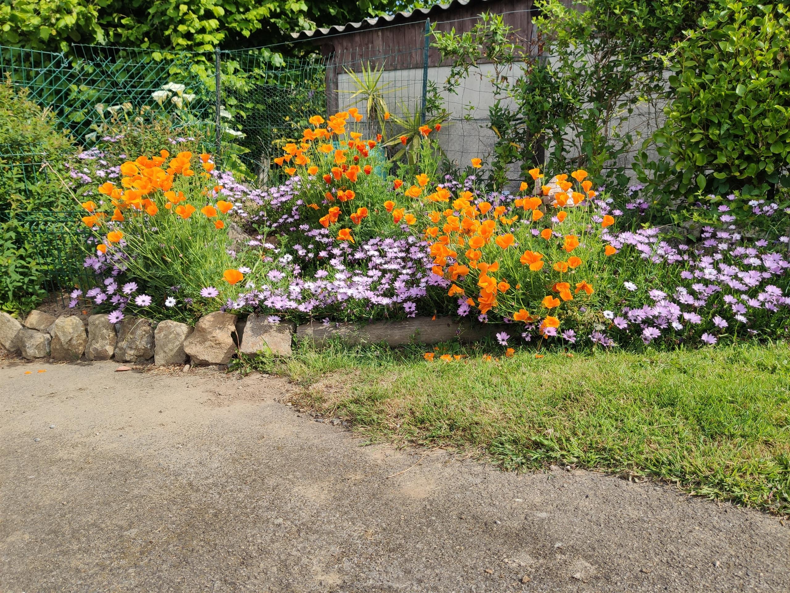 jardin