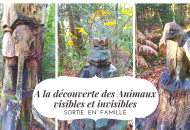 Marchons, Respirons - Photo montage En famille, à la découverte des animaux visibles et invisibles