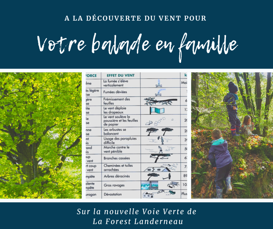 En famille, à la découverte des effets du vent