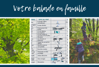 Sylvie Lejeune En famille, à la découverte des effets du vent