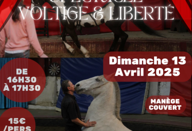 AFFICHES-SPECTACLE-VOLTIGE liberté centre équestre traon elorn 