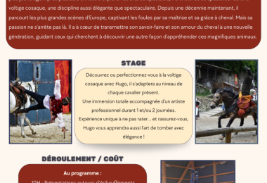 AFFICHES-SPECTACLE-VOLTIGE.zip---3