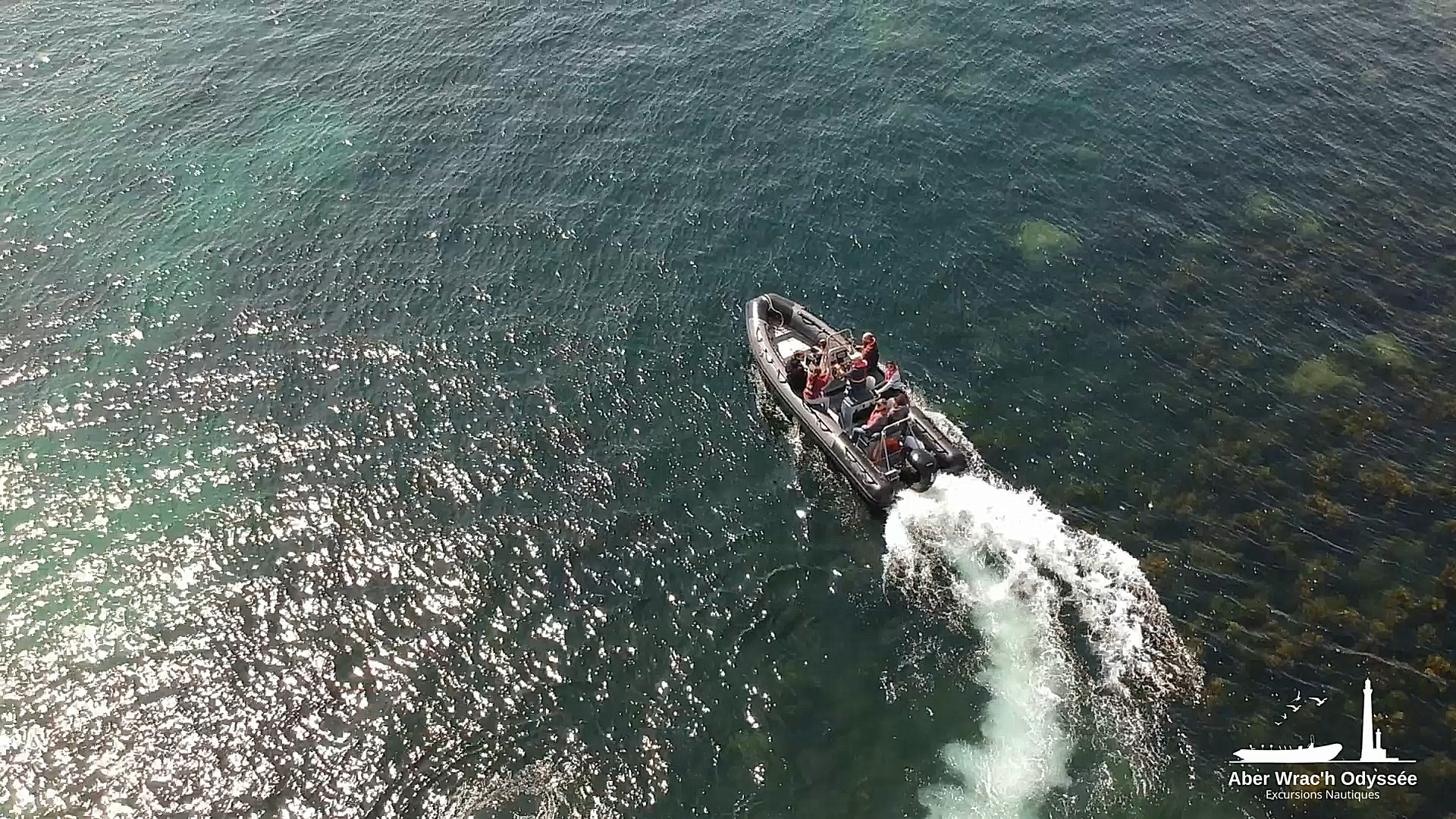 Excursion nautique : au cœur de l'aber Wrac'h