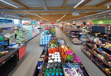 Aldi lannilis 1