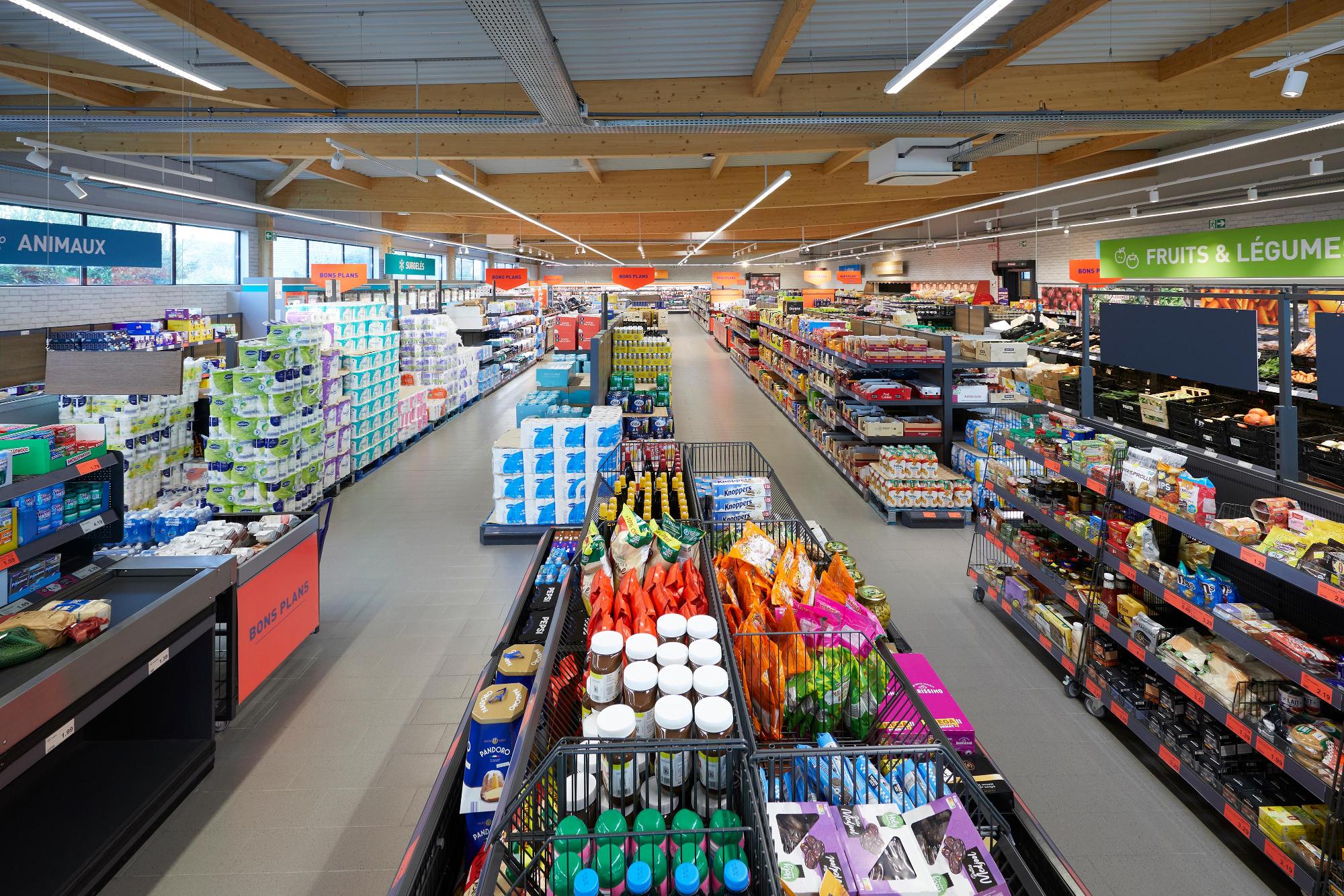 Aldi lannilis 1