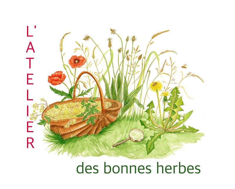 Atelier des bonnes herbesok2-redi