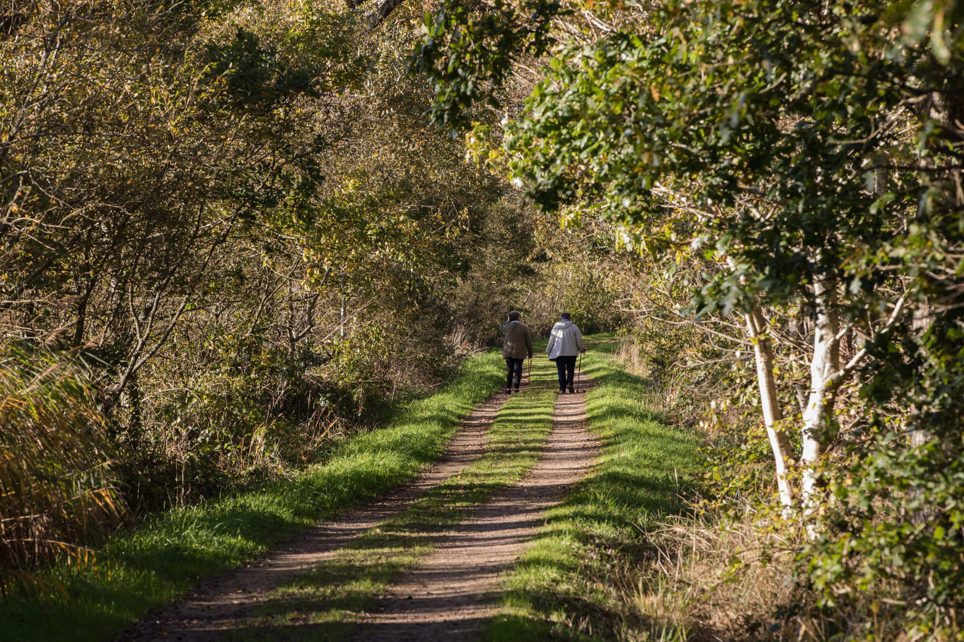 Automne@Gilbert goachet-39
