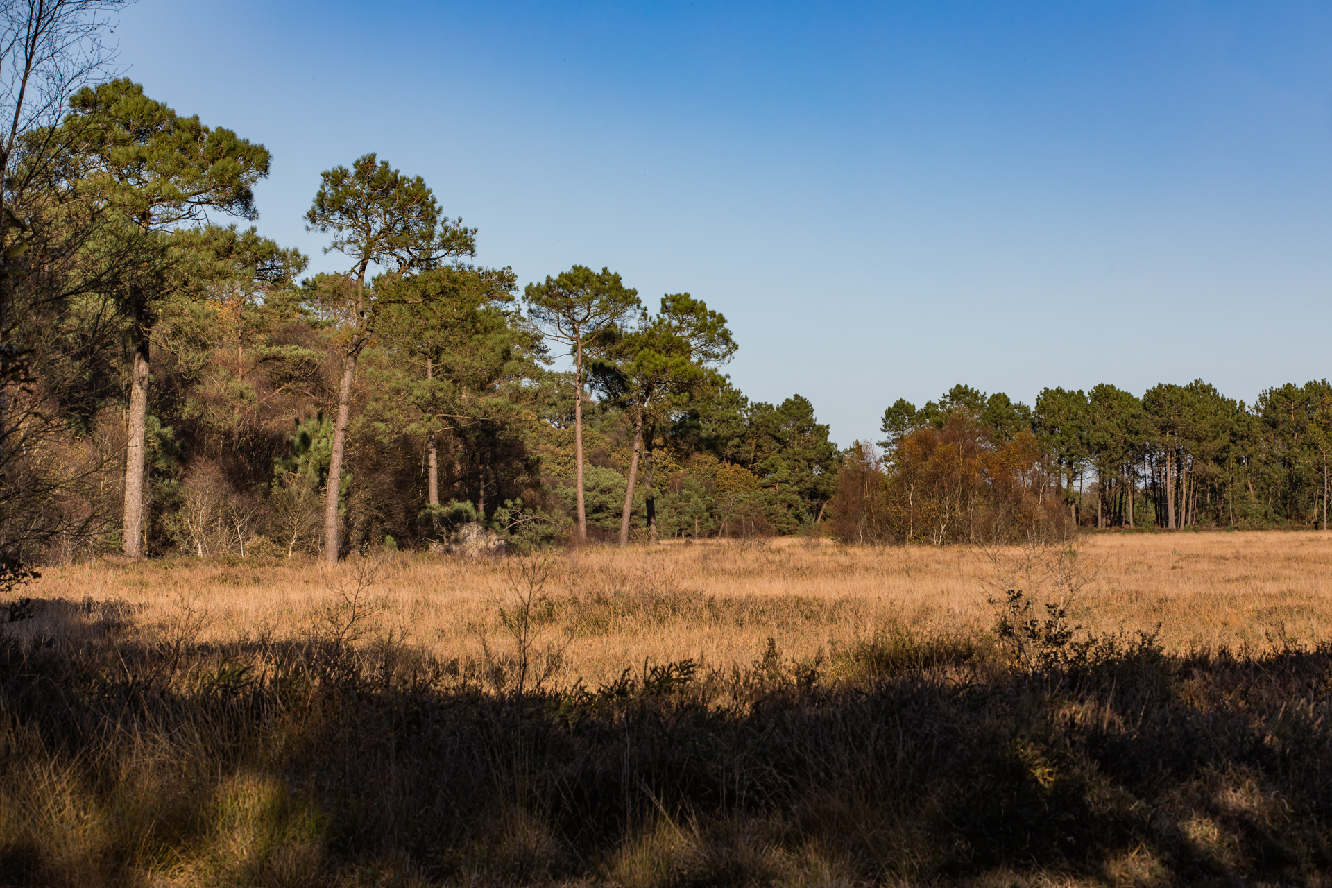 Automne@Gilbert goachet-42