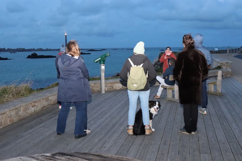 Balade guidée nocturne