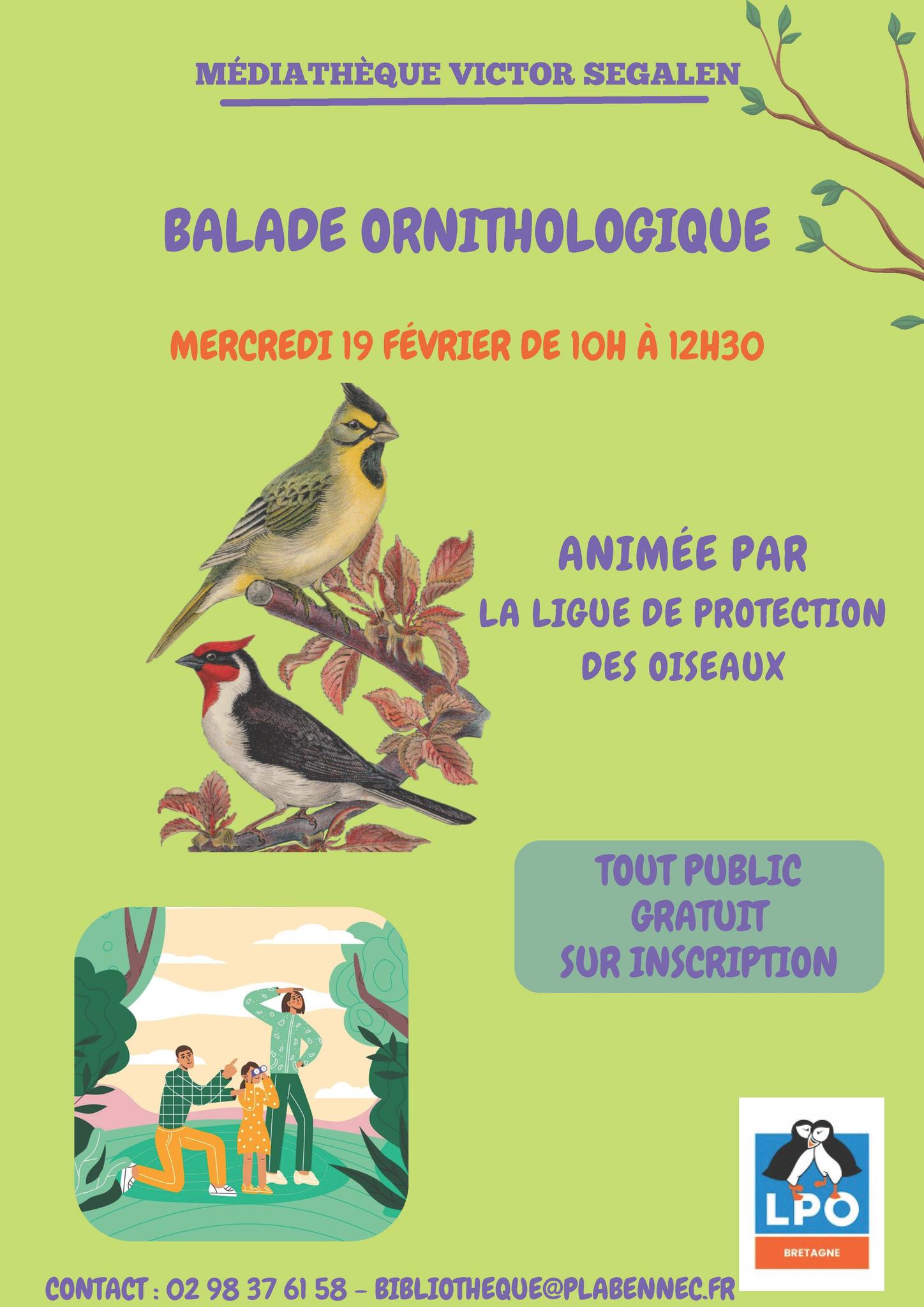 Balade ornithologique