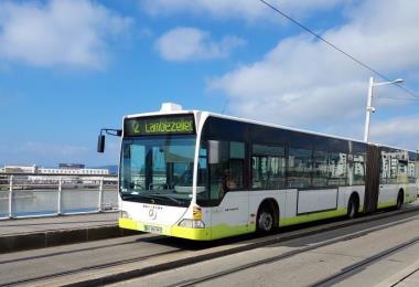 Bibus