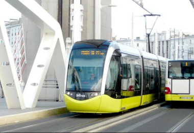 Bibus