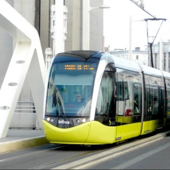 Bibus