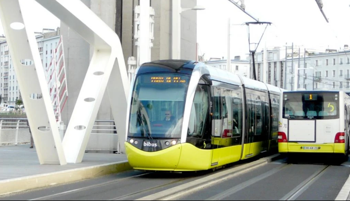 Bibus