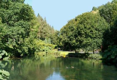 CBNB - Charlotte Dissez CBNB-jardin