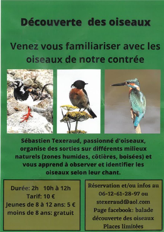 découverte des oiseaux