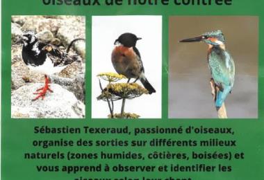 Sébastien Texeraud découverte des oiseaux