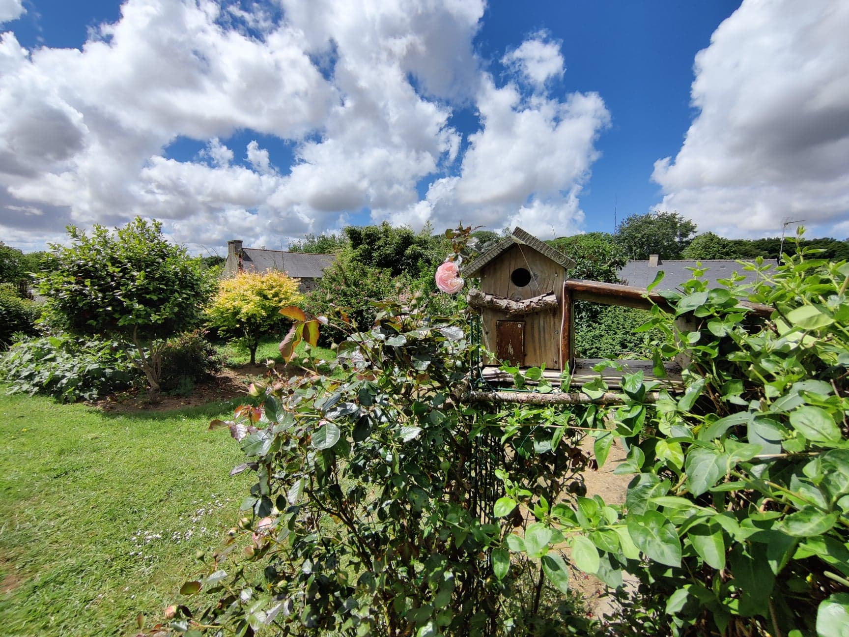 Jardin, vue de la terrasse