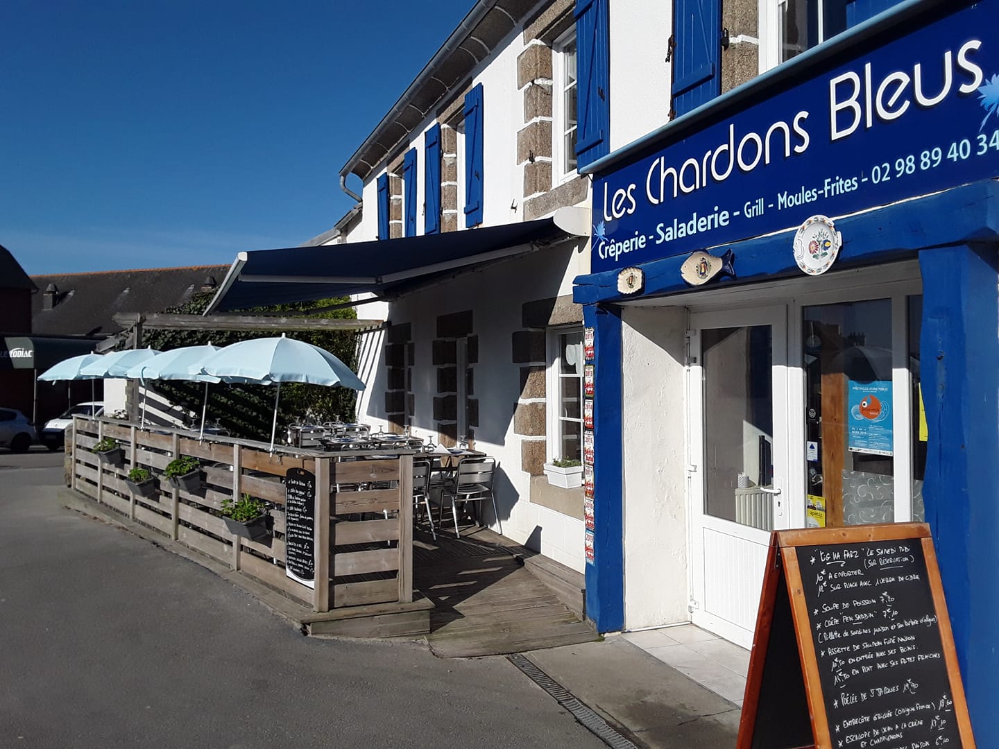 Chardons bleus terrasse ext