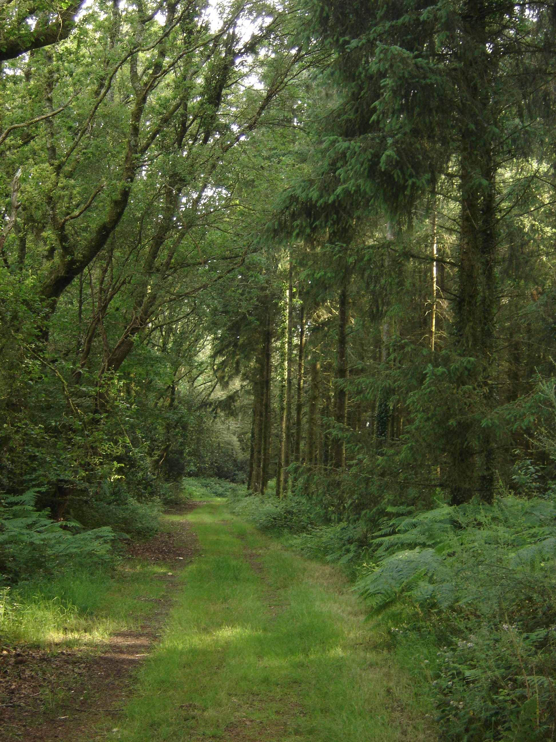 Circuit St-Guen - St-Tugdual - Pays roi Morvan - Morbihan bretagne sud - CP OTPRM (5)